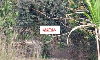 Imagem: Chácara na Zona Leste