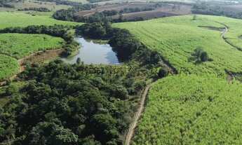 Imagem 6: Sítio com 26,5 alqueires, Itapetininga (Nogueira Imóveis Rurais