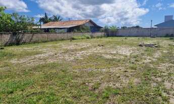 Imagem 3: Vendo terreno cercado na Praia do Ervino de 490 m2
