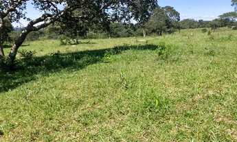 Imagem 7: Ecelente. Chavara 7 alqueres