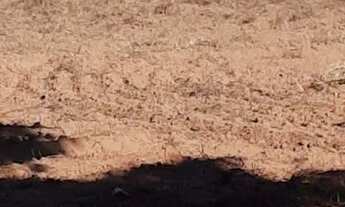 Imagem 7: Chácara em esmeraldas