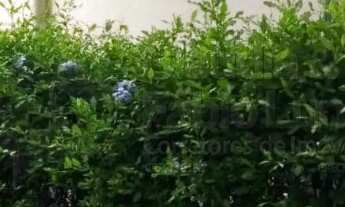 Imagem 6: Casa à venda em condomínio em Chã Grande