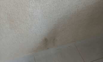 Imagem 2: Aluga se Casa com 2 dormitórios