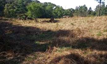 Imagem 3: Sítio 9 hectares com vísta panorâmica próximo de Gramado