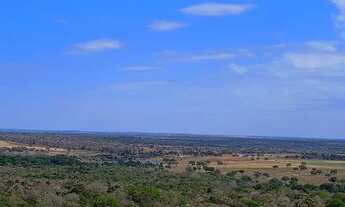 Imagem 5: Faz 378 Alq dupla aptidão pronta terra de cultura