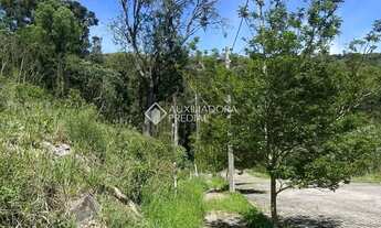 Imagem 5: Loteamento Bosque das Araucárias - Linha Imperial