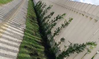 Imagem 2: Apartamento nunca habitado com 1 vaga !