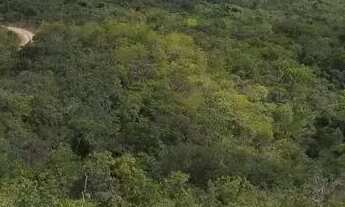 Imagem 4: Imóvel para venda possui 30000 metros quadrados em Zona Rural - Três Marias - MG