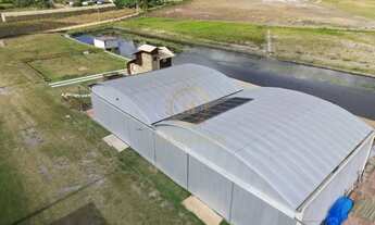 Imagem 6: Viva o Sonho de Morar nas Montanhas com Seu Próprio Avião!