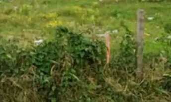 Imagem: Terreno à venda, 1300 m² - Três Vendas