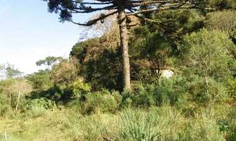 Imagem 4: Sitio 1.5 hectare com lago, pertinho de Gramado