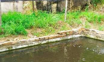 Imagem 7: Sitio em Minas, Nanuque-MG, tanques peixes, 3 casas, nascentes, ótimo pra granjas, parcelo