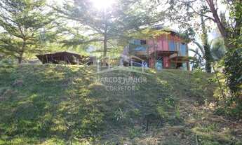 Imagem: Maravilhoso sítio na estrada da produção