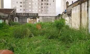 Imagem 3: Terreno Residencial no Tatuapé em Rua Tranquila