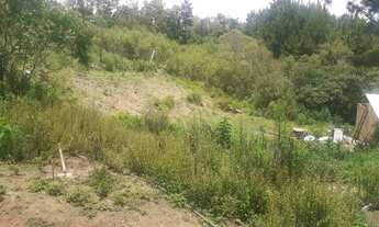 Imagem 3: Chácara a venda