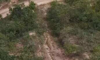 Imagem 6: Imóvel para venda possui 30000 metros quadrados em Zona Rural - Três Marias - MG