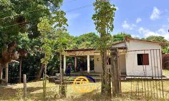 Imagem: TERRENO ARAÇAGY