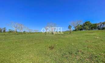 Imagem 3: Fazendinha 5 hectares em Sapiranga - Ent r$ 230 mil - Saldo Direto 24 X