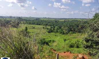 Imagem 7: Vende-se 2 Fazendas em Alto Alegre - Roraima