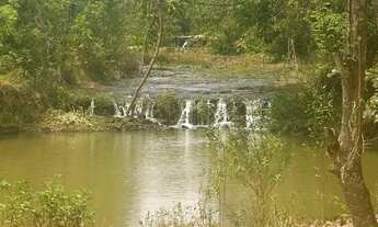 Imagem 4: SÍTIO À VENDA - PRÓXIMO A FLOR DE MINAS GURINHATA - Água em Abundância - R$ 2.000.000,00