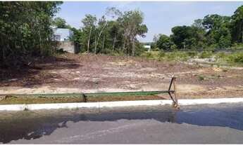 Imagem: Lote Praia dos Passarinhos - 800m2 - Plano