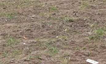 Imagem: Lote/Terreno para venda possui 1880 metros