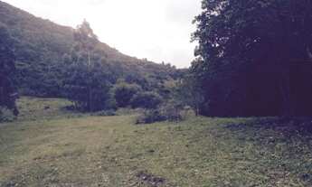 Imagem 6: SÍTIO - SÃO JOÃO DO RIO VERMELHO - SC