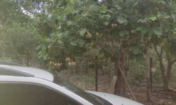 Imagem 5: Vendo lote na beira do lago do manso