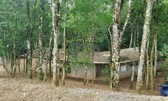 Imagem 4: Lindo lote com casa inacabada vizinho a área de preservação