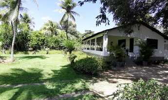 Imagem 7: Área em Maria Farinha, Paulista Pernambuco