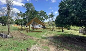 Imagem 4: Sitio a venda com 3 hectares em Porangaba/SP