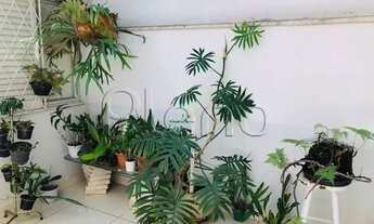 Imagem 7: Casa à venda no Jardim Nossa Senhora Auxiliadora, Campinas