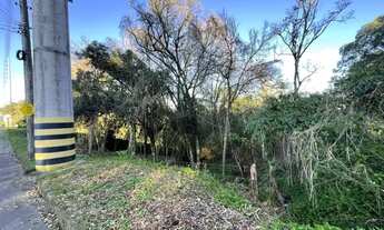 Imagem: CAXIAS DO SUL - Terreno Padrão - CRUZEIRO
