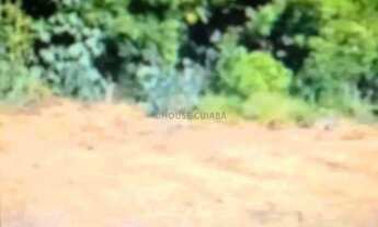 Imagem 2: Otima oportunidade - terreno no Santa Rosa