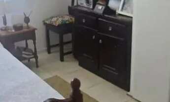 Imagem 7: Apartamento com 2 dormitórios à venda, 60 m² por R$ 330.000,00 - Badu - Niterói/RJ