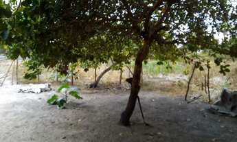 Imagem 3: Lote em Cascavel (CE) (10 x 50m) = 500m2