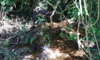 Imagem 2: Super oportunidade terreno com lago