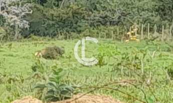 Imagem 5: CHÁCARA A VENDA