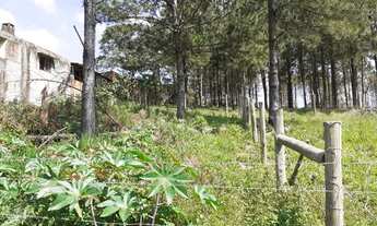 Imagem 7: Terreno dentro da cidade- CONTRATO DE COMPRA E VENDA