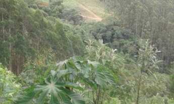 Imagem 2: Terreno com 30000m² reflorestados