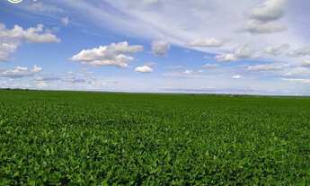 Imagem 4: FAZENDA À VENDA EM PARANATINGA - MT - 8.000 HECTARES (DUPLA APTIDÃO