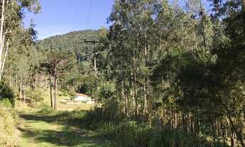 Imagem 7: Área em Rio Branco do Sul