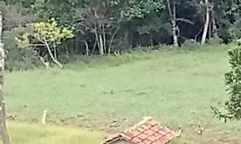 Imagem 4: Terreno 40 mil metros com lago e luz