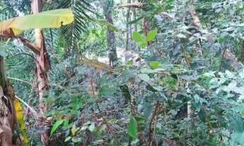 Imagem 6: Lote/Terreno para venda com 838 metros quadrados em Feiticeira - Ilhabela - SP