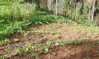 Imagem 4: Chácara no município de Pirenópolis