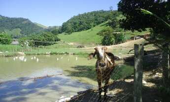 Imagem 3: Leia o Anúncio- imagem ilustrativa