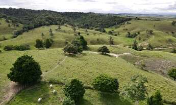 Imagem 5: Fazenda com 164 Hectares em Pernambuco