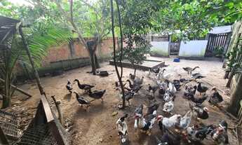 Imagem 5: Vendo sitio ou troco