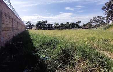 Imagem 4: Lote de 1000m² plano, murado e cercado à venda, Bandeirantes (Pampulha) - Belo Horizonte/M