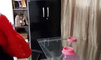 Imagem 6: ALUGA-SE ( CIDADE NOVA